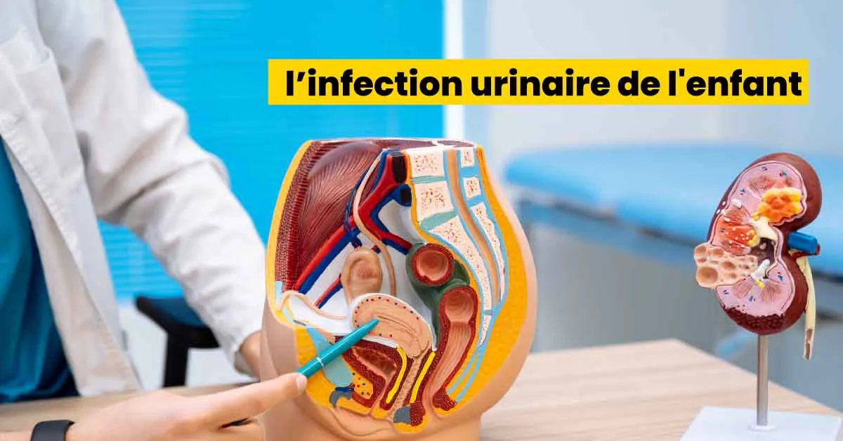 l’infection urinaire de l'enfant